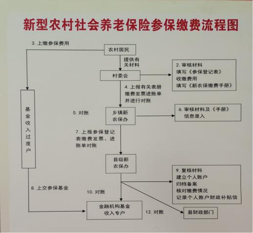 信阳农村医保和社保有什么区别(农村医保跟社保的区别)